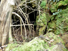 Gelligroes level, August 2011